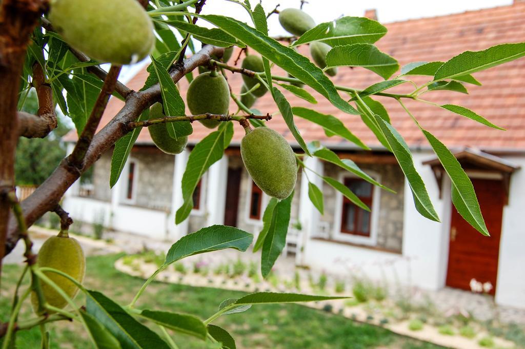 Vitamin B63 Vendeghaz Boldogkovaralja Exteriör bild
