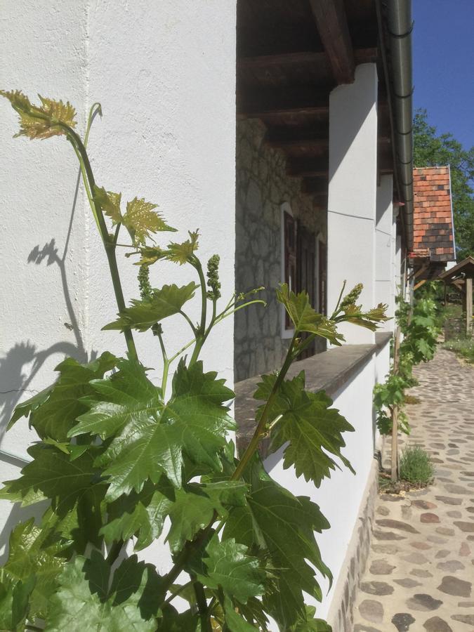 Vitamin B63 Vendeghaz Boldogkovaralja Exteriör bild